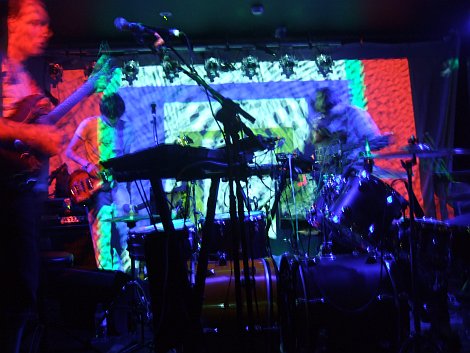 Caribou